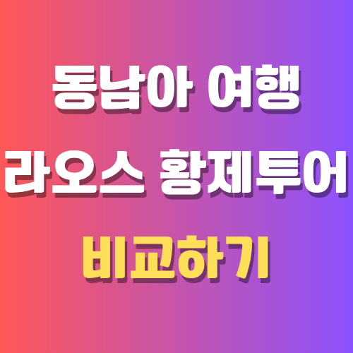 밤문화 정보 사진