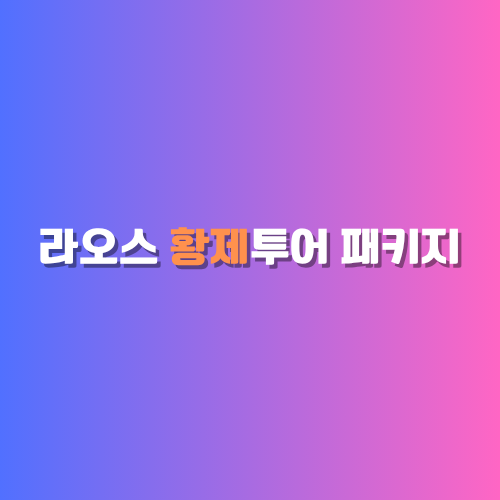 밤문화 정보 사진